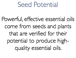 Seed Potential Powerful, effective essential oils come from seeds and plants that are verified for their potential to produce high-quality essential oils.
