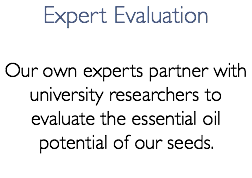 Expert Evaluation Our own experts partner with university researchers to evaluate the essential oil potential of our seeds.
