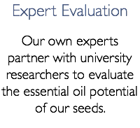 Expert Evaluation Our own experts partner with university researchers to evaluate the essential oil potential of our seeds.
