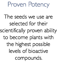 Proven Potency The seeds we use are selected for their scientifically proven ability to become plants with the highest possible levels of bioactive compounds.
